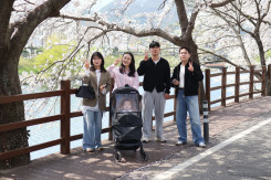 26.03.29 벛꽃놀이